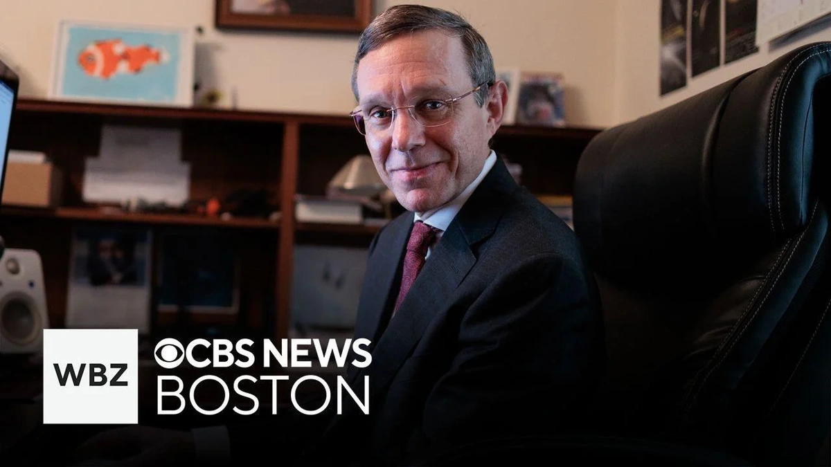 Why This Matters | More Than Just a Space Rock