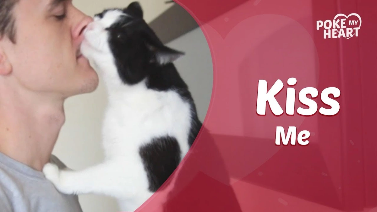 The Prehistoric Pucker-Up | What Did They Find?