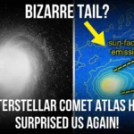 Interstellar Comet