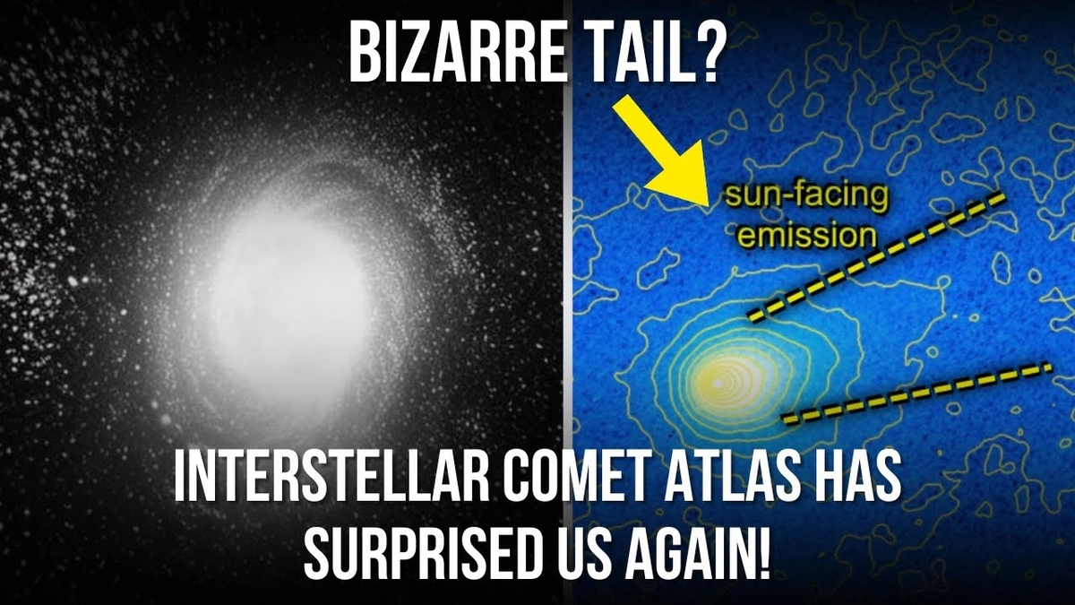 Interstellar Comet