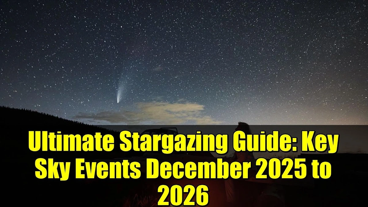 Finding Your Perfect Dark Spot