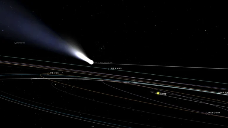 Interstellar Comet